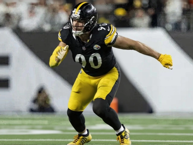 Pittsburgh Steelers Lead AFC North Amid Conflicting 2025-26 Standings Reports